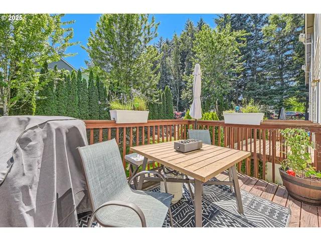 a view of a small garden