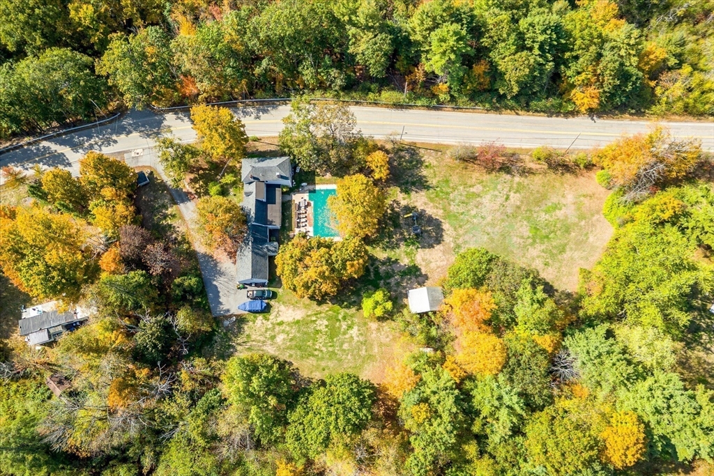 189 Fitchburg Road Ashburnham, MA 01430 - Photo 41 of 42 a view of a yard with plants and large trees