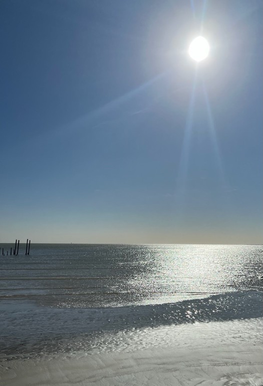 1817 Todville Road Seabrook, TX 77586 - Photo 27 of 27 a view of an ocean