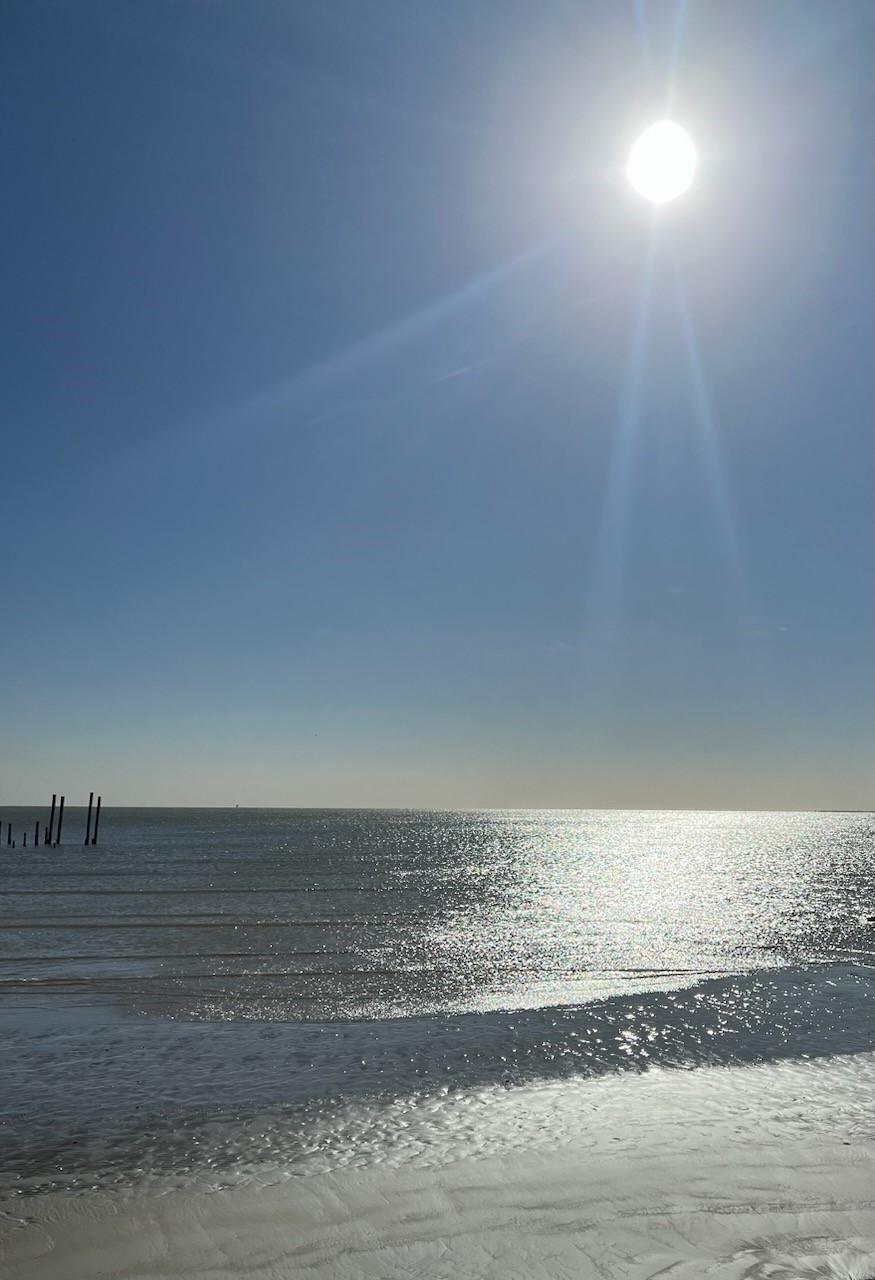 1817 Todville Road Seabrook, TX 77586 - Photo 27 of 27