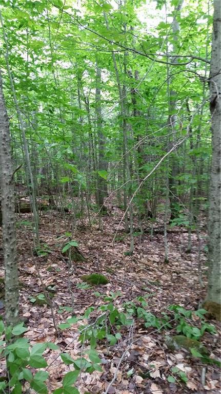 29-10a Greeley's Landing Road Dover-Foxcroft, ME 04426 - Photo 2 of 10 Photo