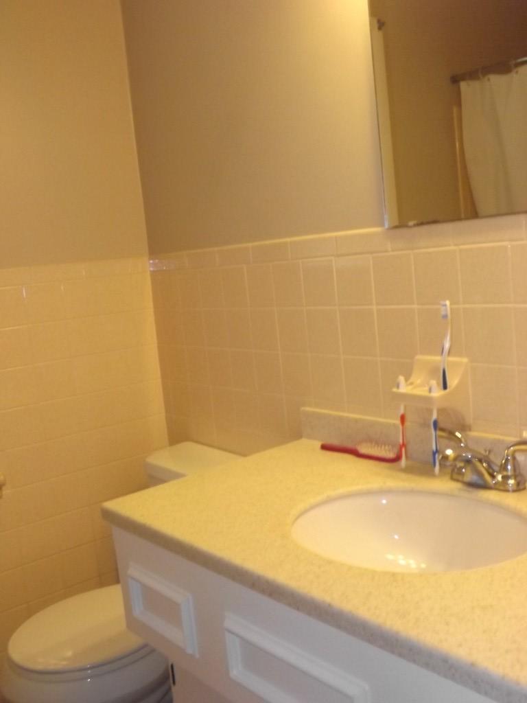 752 Kemmer Road Spring City, TN 37381 - Photo 22 of 36 bathroom vanity