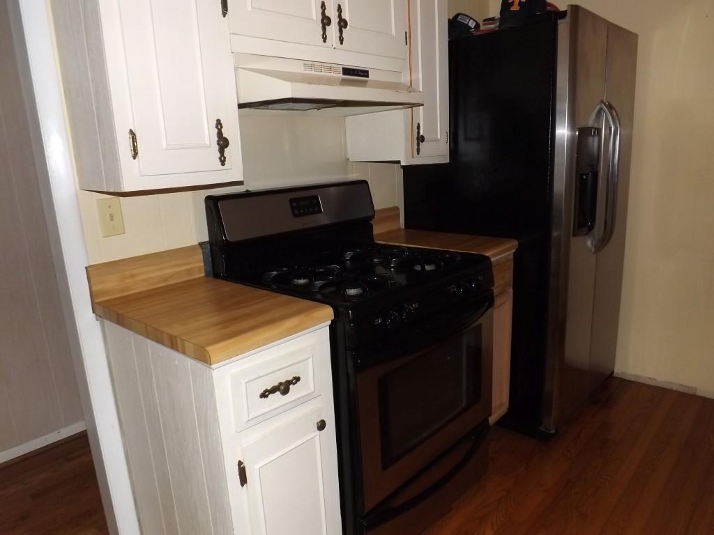 752 Kemmer Road Spring City, TN 37381 - Photo 36 of 36 stove & fridge