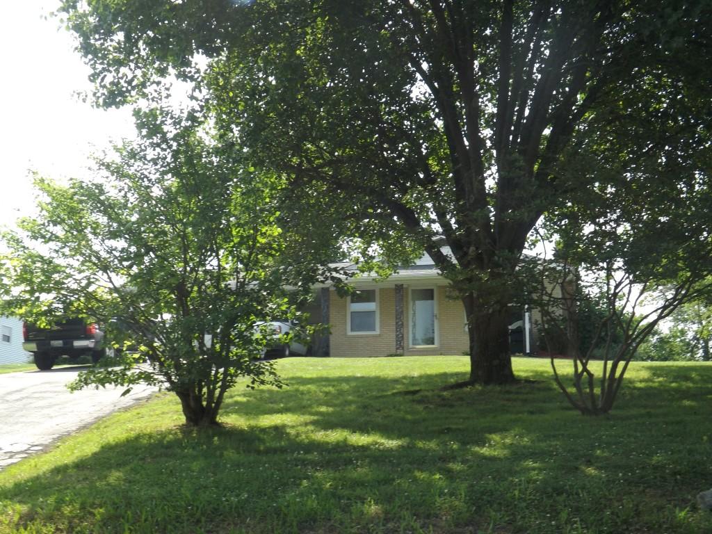 752 Kemmer Road Spring City, TN 37381 - Photo 10 of 36 front yard & home