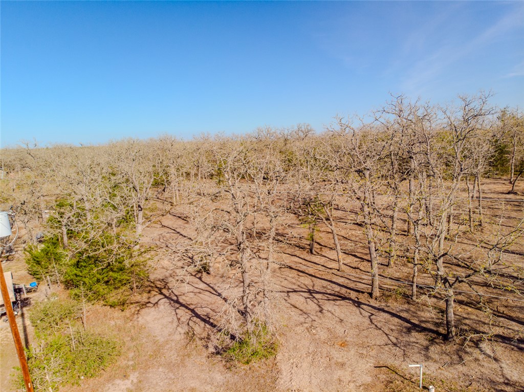 Lot 211 Forest Oak Road Somerville, TX 77879 - Photo 11 of 33