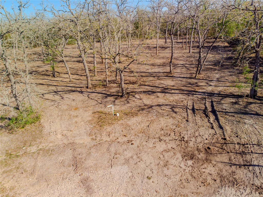 Lot 211 Forest Oak Road Somerville, TX 77879 - Photo 12 of 33