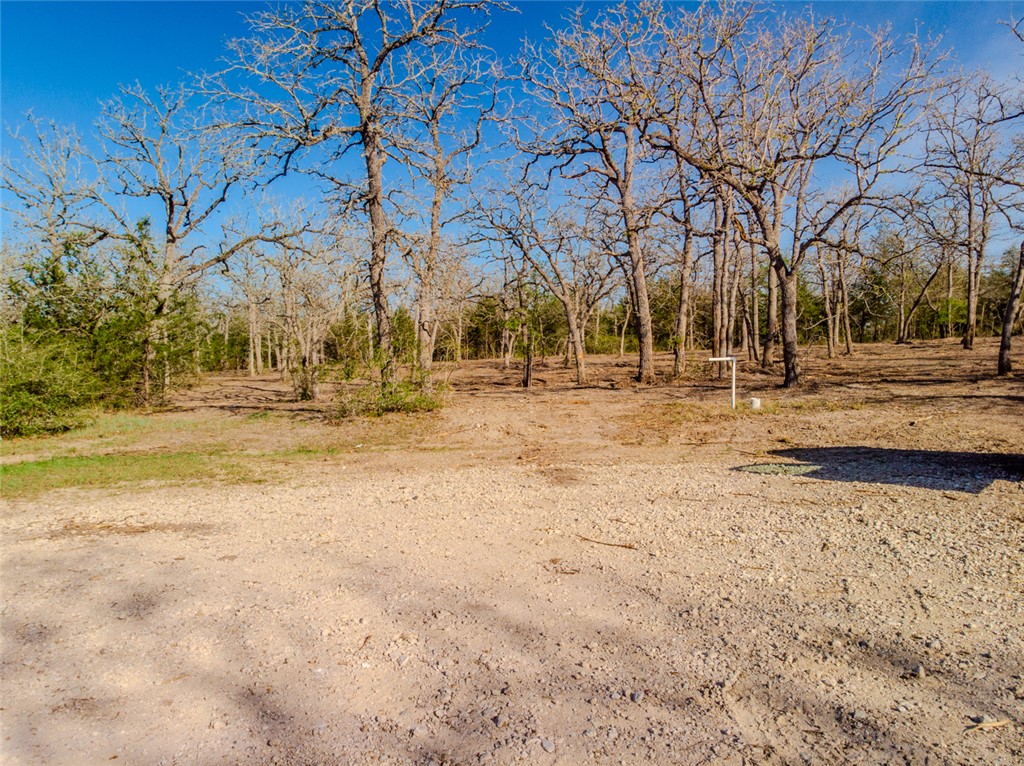 Lot 211 Forest Oak Road Somerville, TX 77879 - Photo 13 of 33