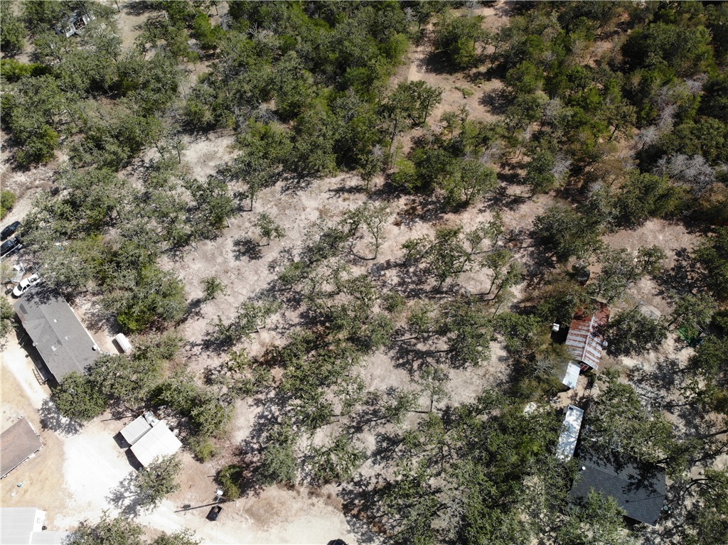 Lot 211 Forest Oak Road Somerville, TX 77879 - Photo 14 of 33