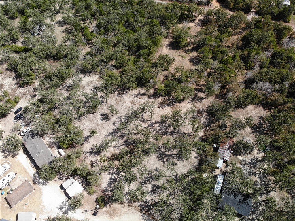 Lot 211 Forest Oak Road Somerville, TX 77879 - Photo 15 of 33