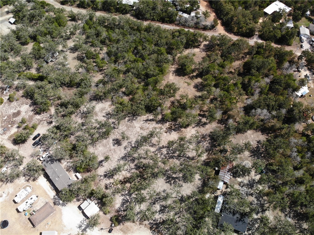 Lot 211 Forest Oak Road Somerville, TX 77879 - Photo 17 of 33