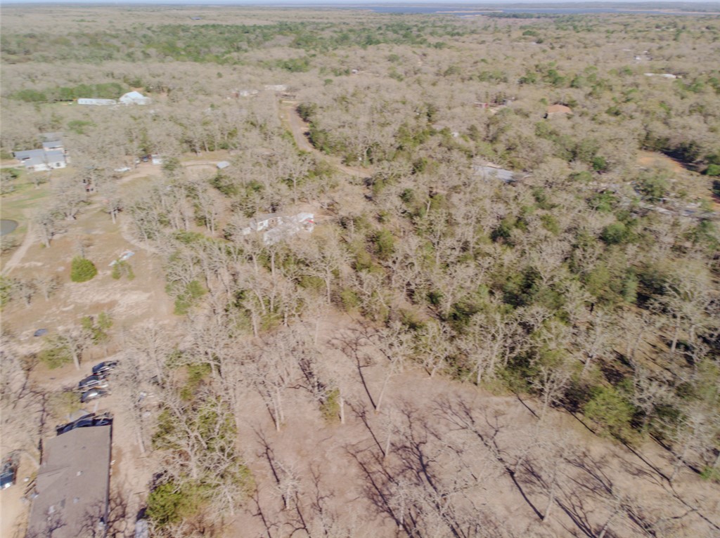 Lot 211 Forest Oak Road Somerville, TX 77879 - Photo 2 of 33