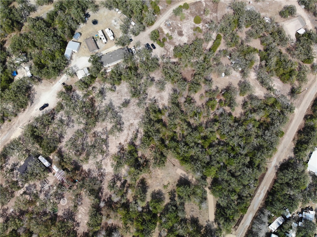 Lot 211 Forest Oak Road Somerville, TX 77879 - Photo 25 of 33