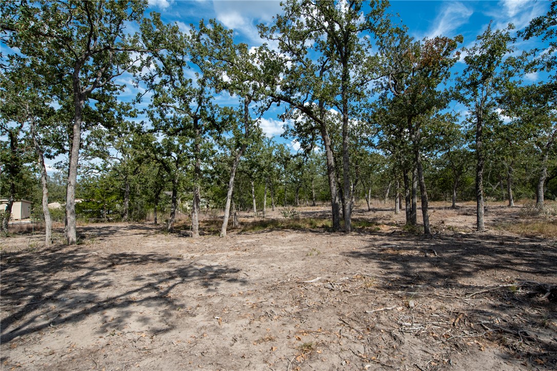 Lot 211 Forest Oak Road Somerville, TX 77879 - Photo 28 of 33