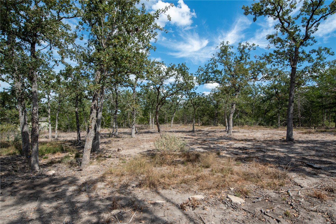 Lot 211 Forest Oak Road Somerville, TX 77879 - Photo 29 of 33