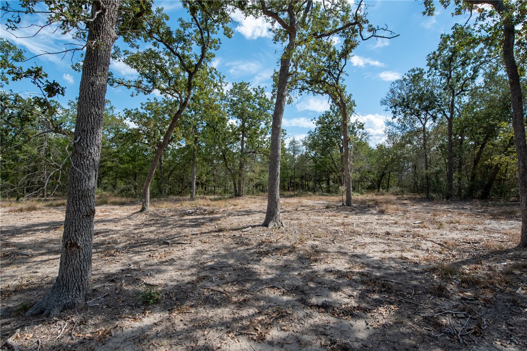 Lot 211 Forest Oak Road Somerville, TX 77879 - Photo 30 of 33