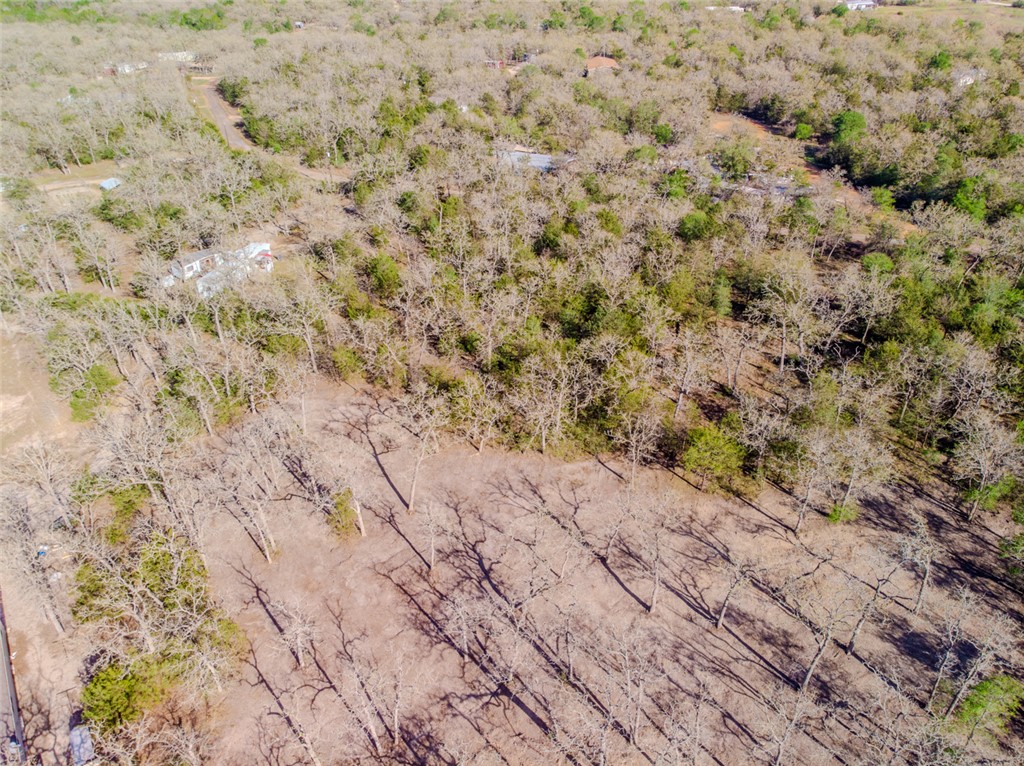Lot 211 Forest Oak Road Somerville, TX 77879 - Photo 3 of 33