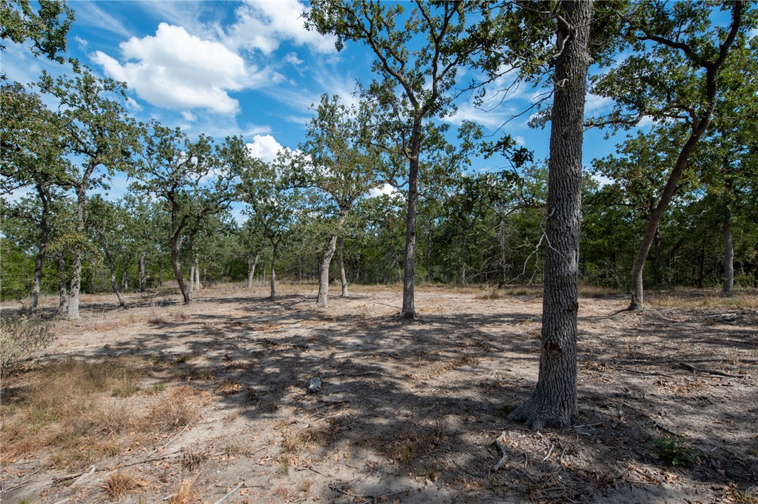 Lot 211 Forest Oak Road Somerville, TX 77879 - Photo 31 of 33