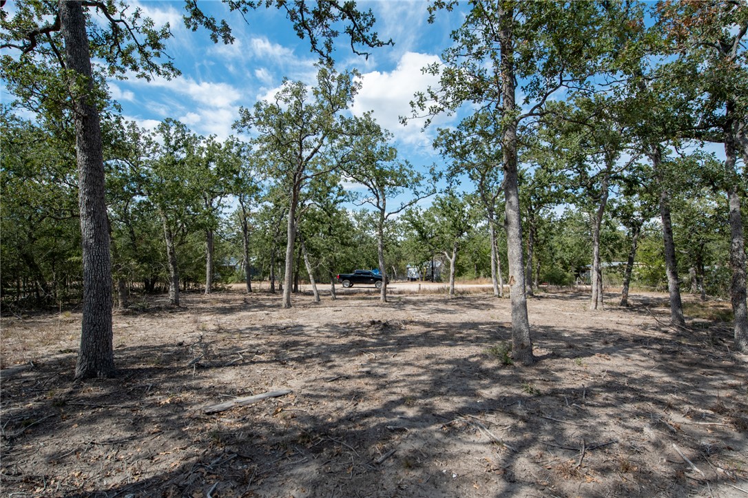 Lot 211 Forest Oak Road Somerville, TX 77879 - Photo 32 of 33