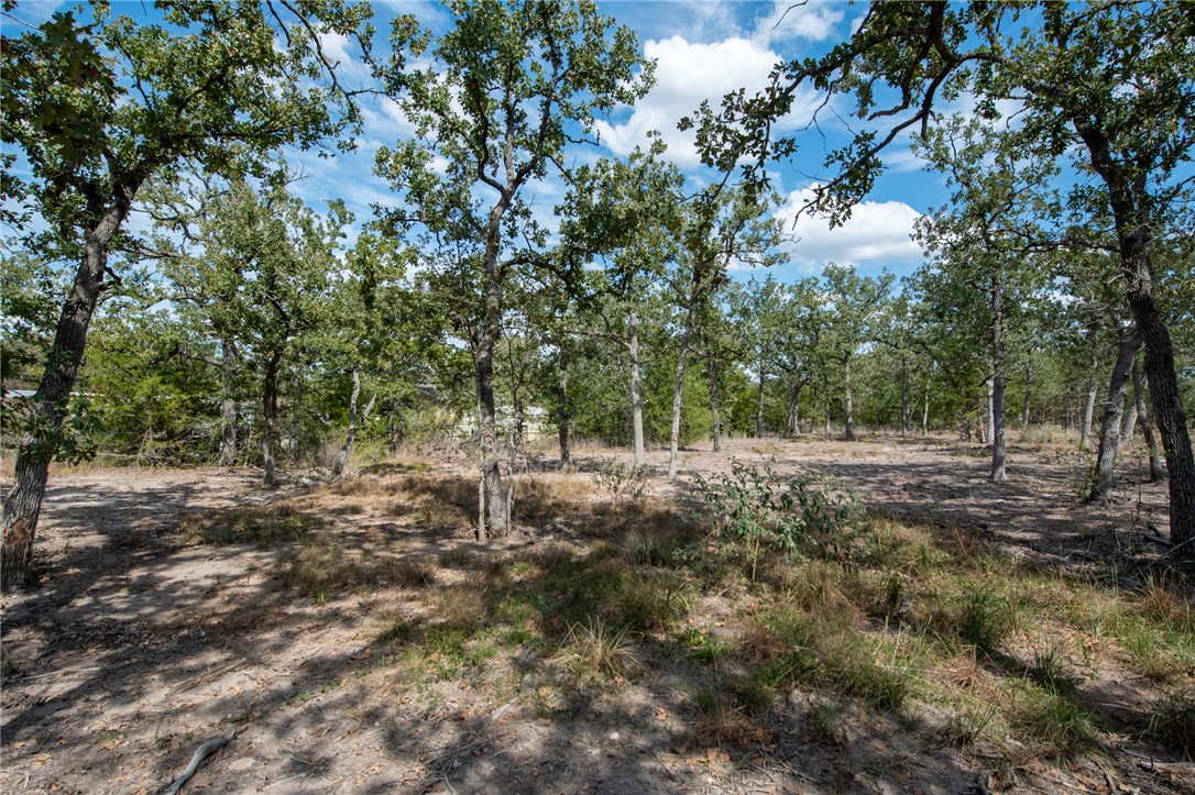 Lot 211 Forest Oak Road Somerville, TX 77879 - Photo 33 of 33