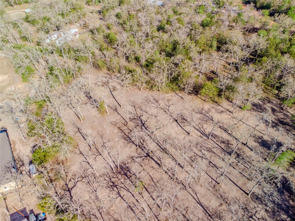 Lot 211 Forest Oak Road Somerville, TX 77879 - Photo 4 of 33
