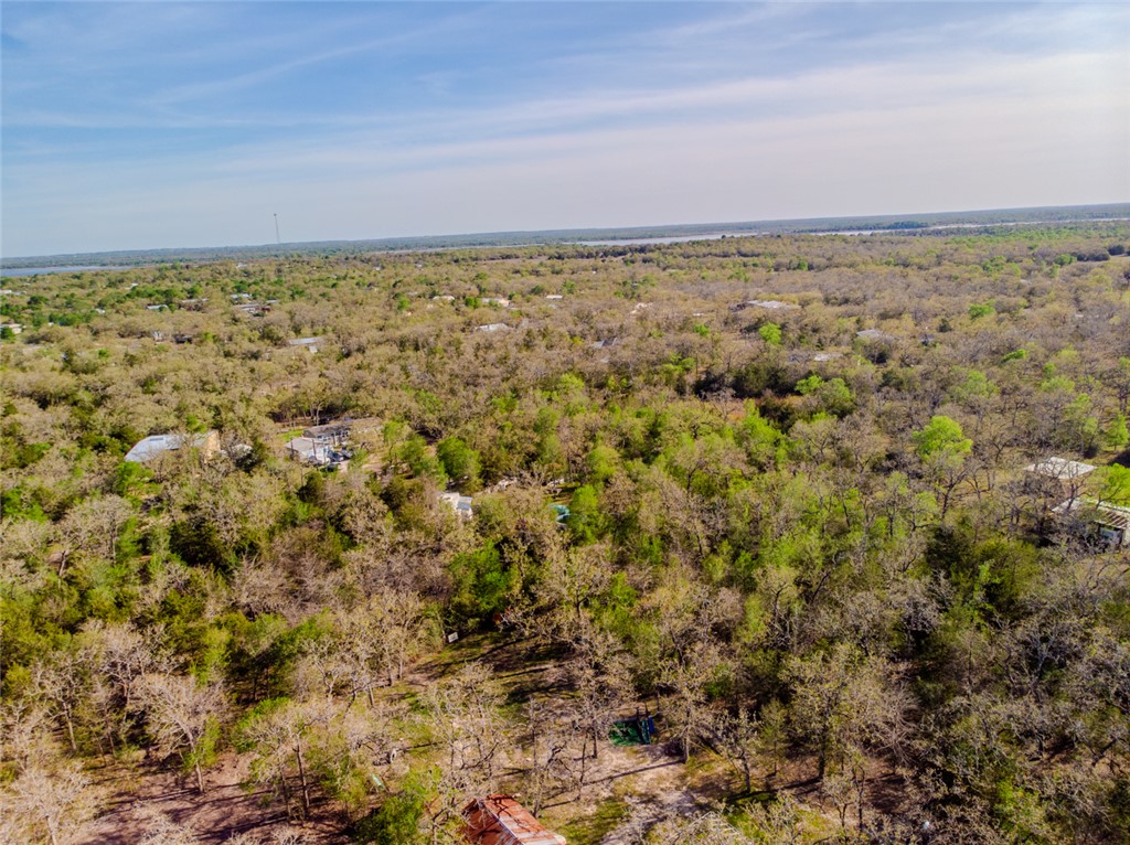 Lot 211 Forest Oak Road Somerville, TX 77879 - Photo 5 of 33