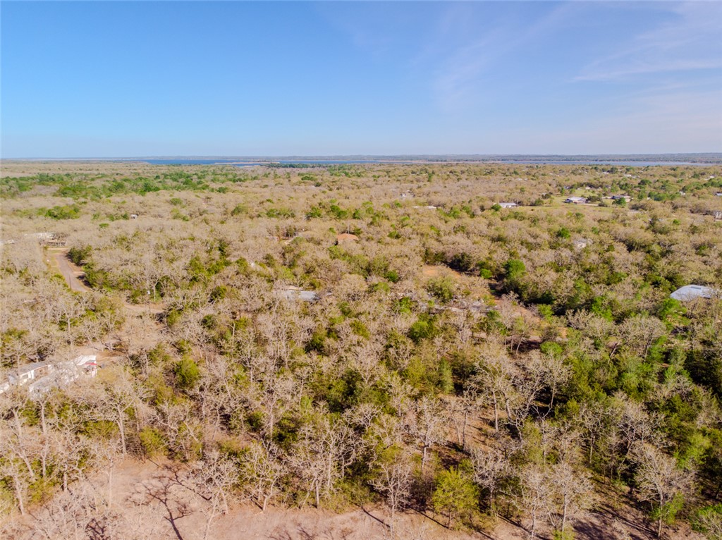 Lot 211 Forest Oak Road Somerville, TX 77879 - Photo 6 of 33