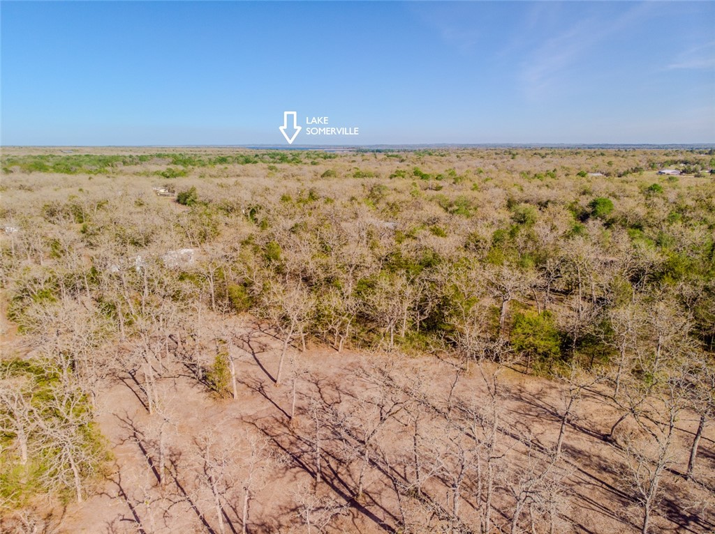 Lot 211 Forest Oak Road Somerville, TX 77879 - Photo 7 of 33