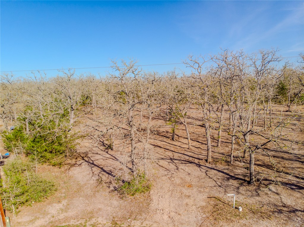 Lot 211 Forest Oak Road Somerville, TX 77879 - Photo 8 of 33