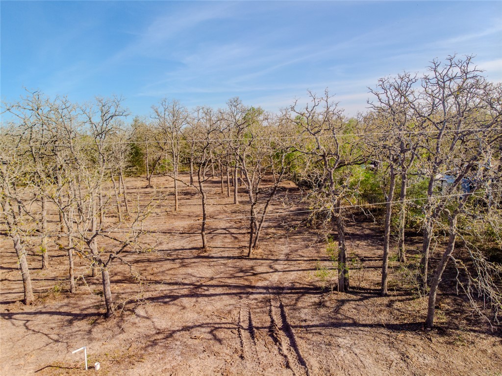Lot 211 Forest Oak Road Somerville, TX 77879 - Photo 9 of 33