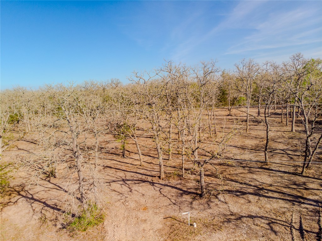 Lot 211 Forest Oak Road Somerville, TX 77879 - Photo 10 of 33