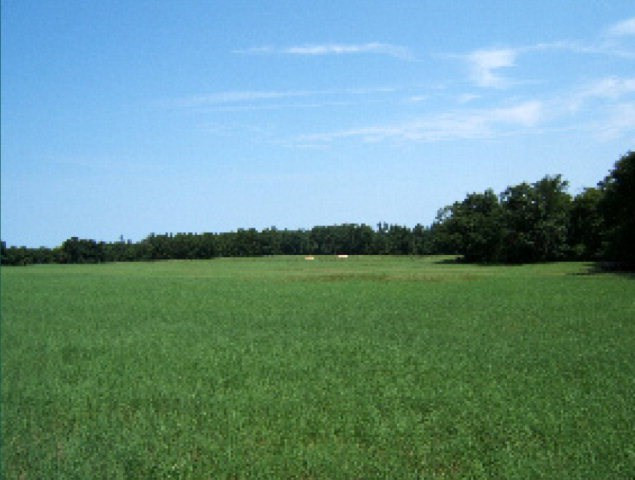 2030 Gray Mare Hollow Road Aiken, SC 29803 - Photo 3 of 7