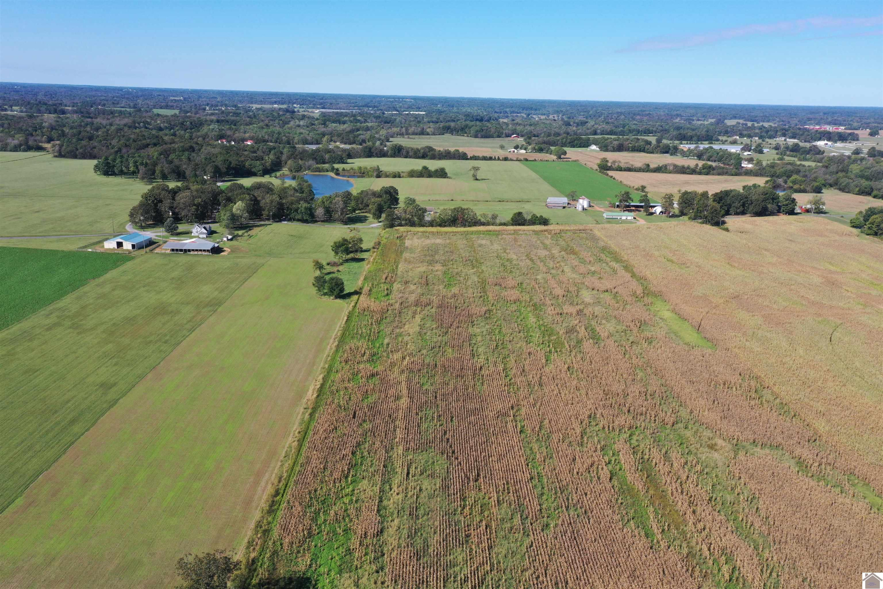 0 Beach Road Kirksey, KY 42054 - Photo 14 of 15 Photo 14