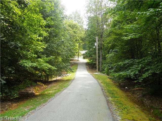 3066 Finch Farm Road Trinity, NC 27370 - Photo 3 of 16 Other. Private paved driveway leading to house