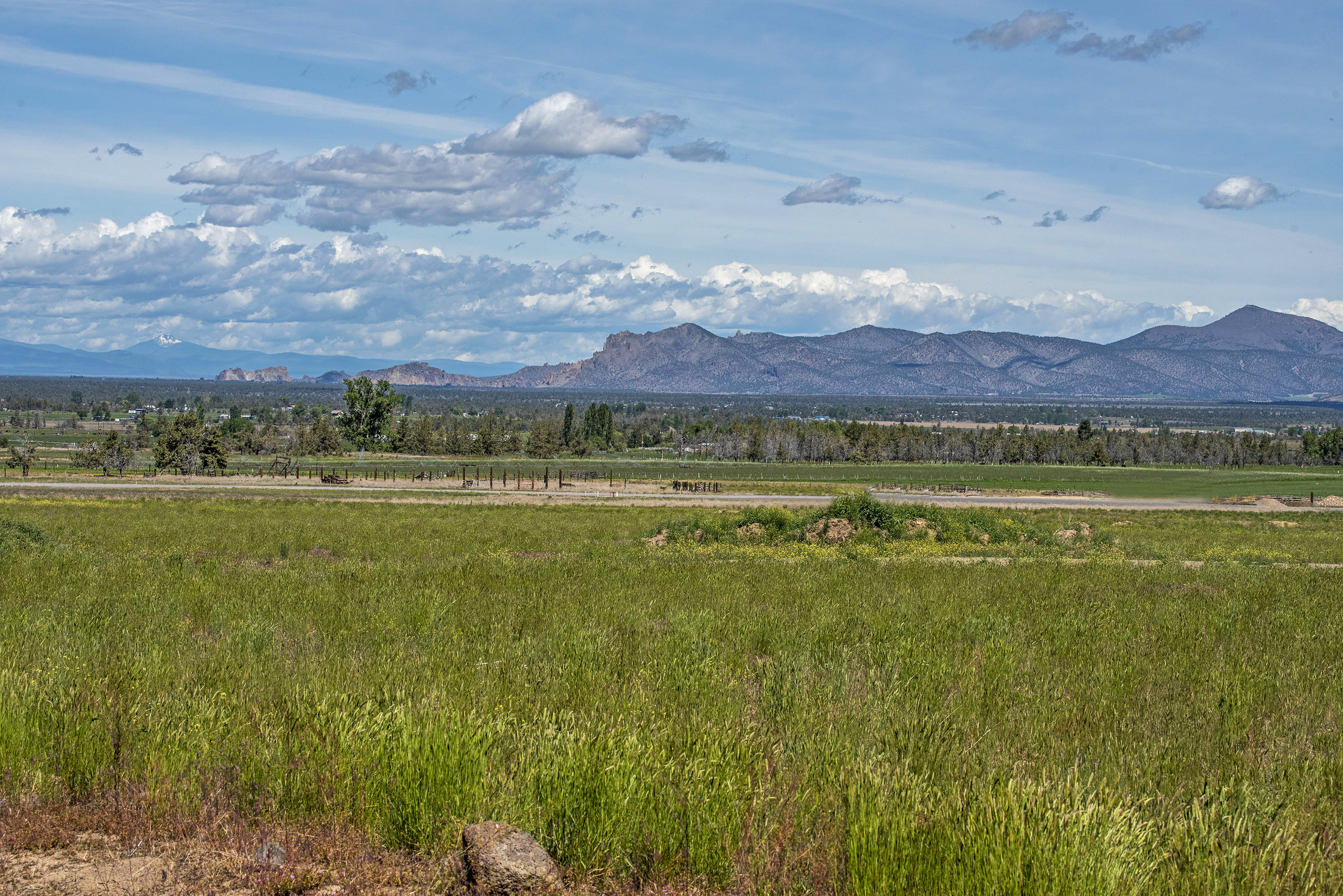 18 Southwest Mill Iron Circle Powell Butte, OR 97753 - Photo 21 of 25 DSC_8690