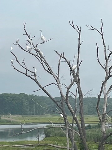 20 Gill Street, Unit B Hampton, NH 03842 - Photo 14 of 18