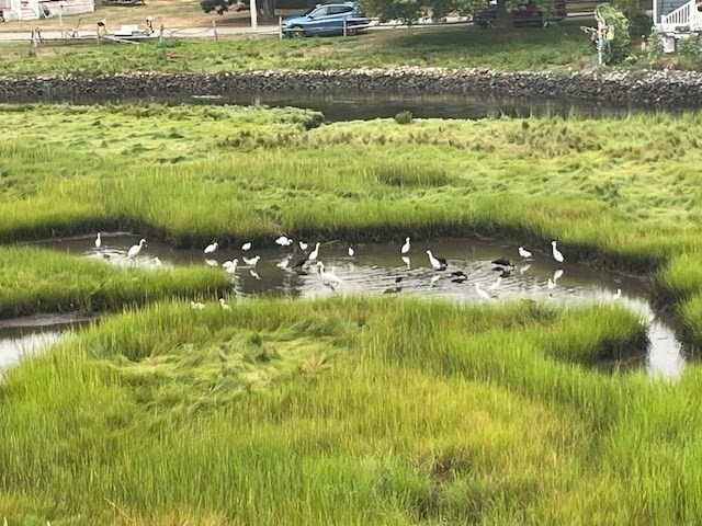 20 Gill Street, Unit B Hampton, NH 03842 - Photo 16 of 18