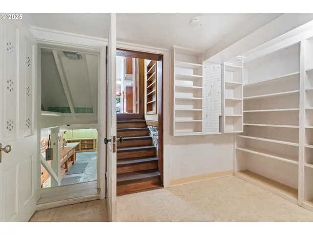 a view of a backyard with plants and large tree
