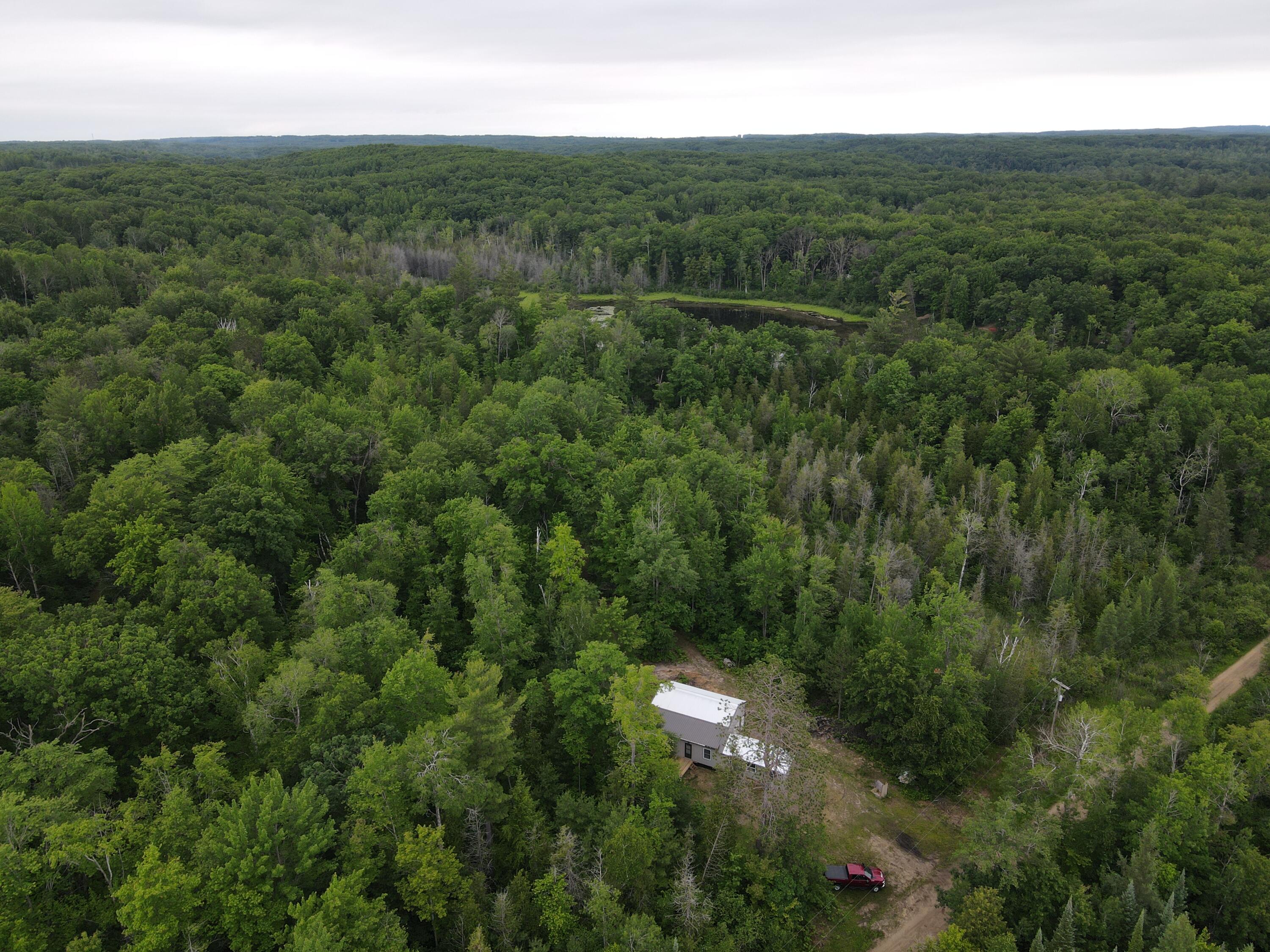 11401 Little George Lake Road Gladwin, MI 48624 - Photo 32 of 105 DJI_0487