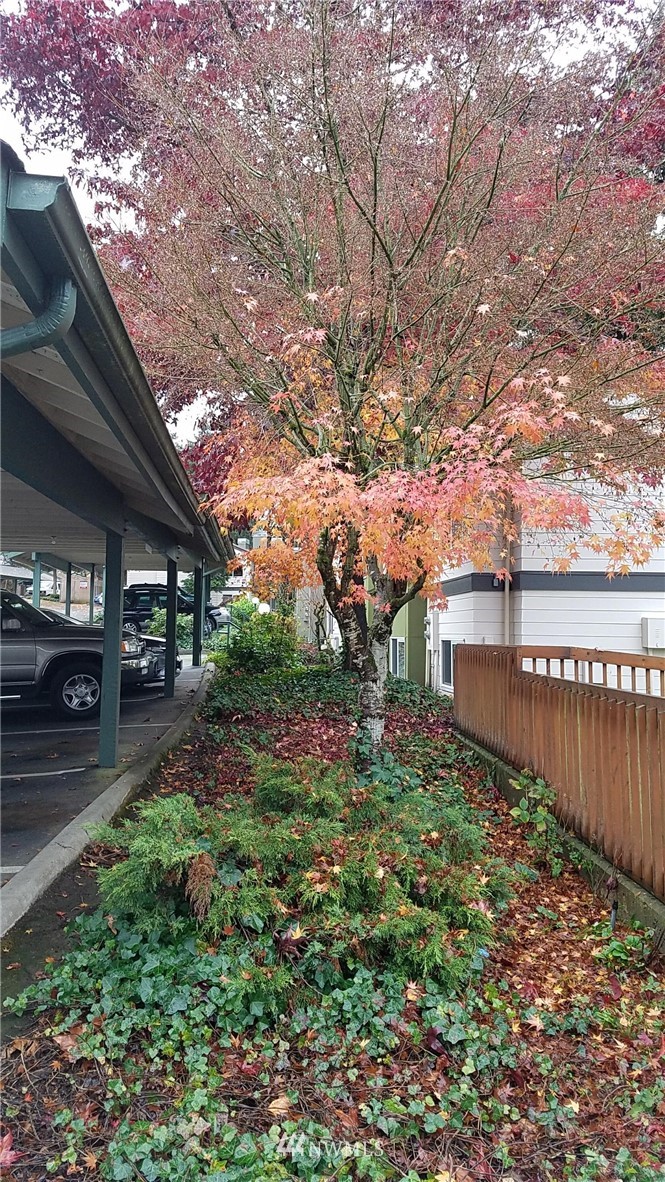 31500 33rd Place Southwest, Unit N 202 Federal Way, WA 98023 - Photo 1 of 14