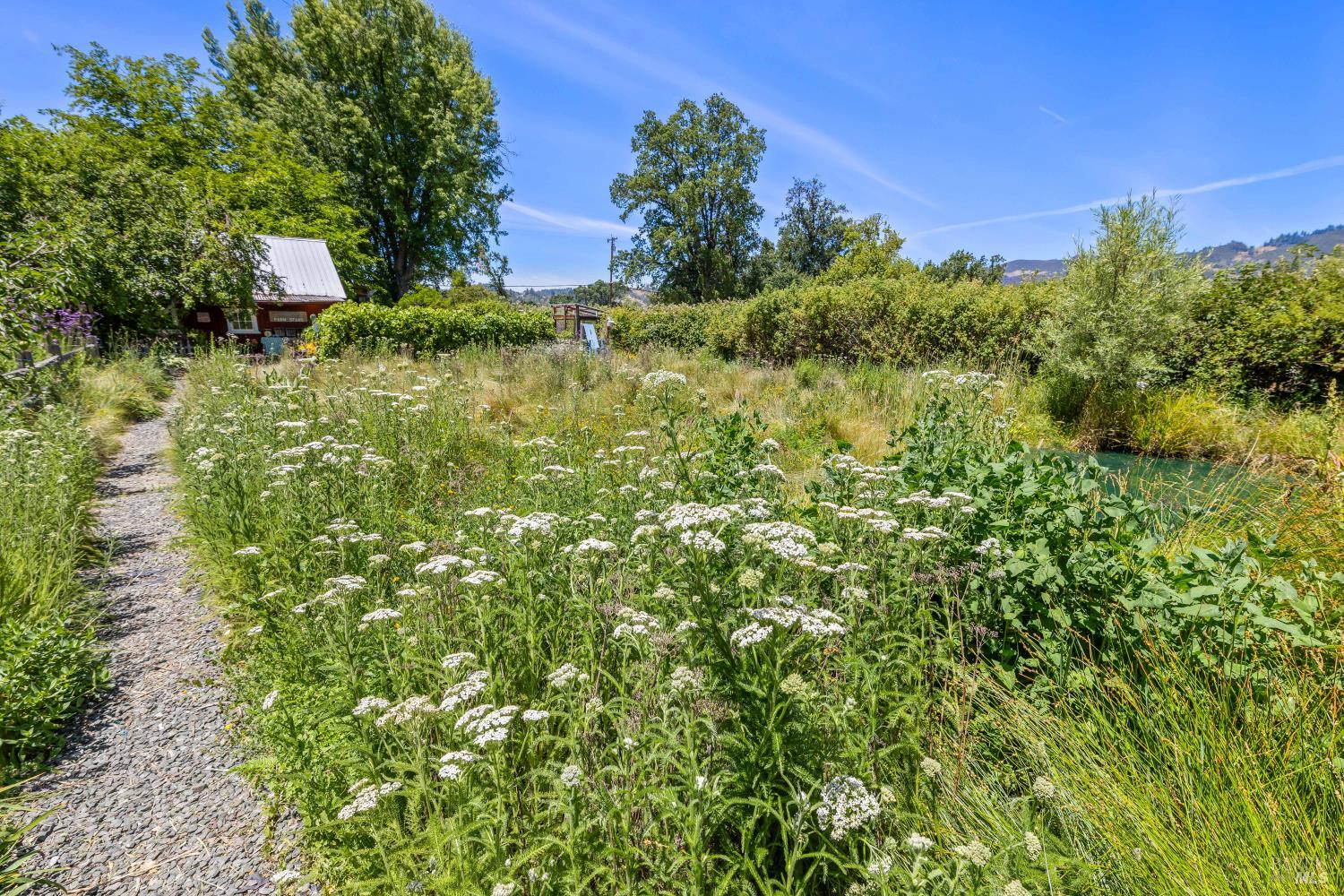 13511 Powerhouse Road Potter Valley, CA 95469 - Photo 49 of 73 Wildflower meadow