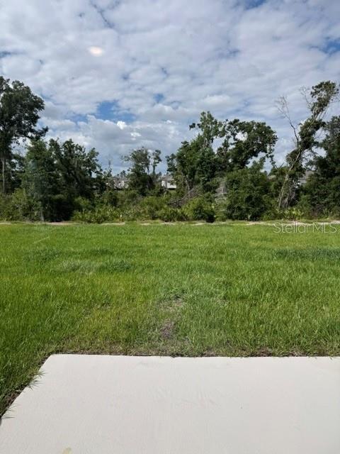 17913 Wheat Stack Court Parrish, FL 34219 - Photo 7 of 45