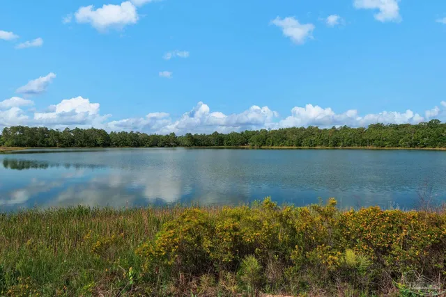 a picture of a bench in front of a wall