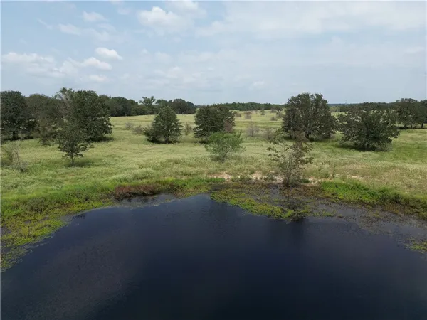 a view of a field with an ocean and trees