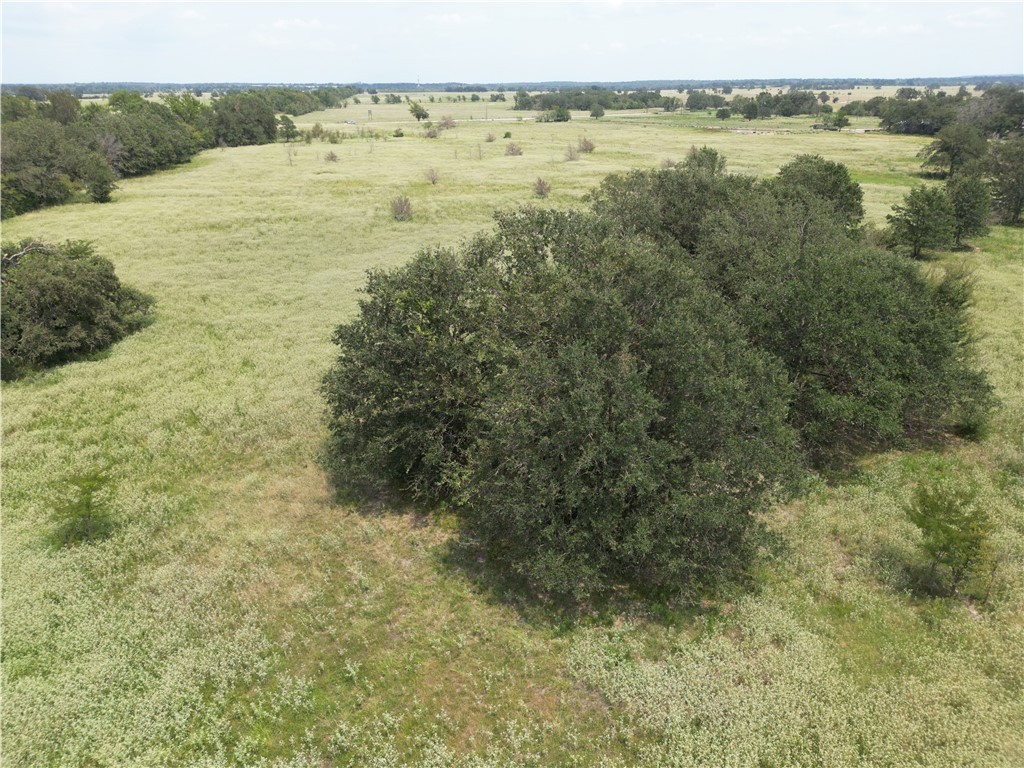 0 Fm 387 Marquez, TX 77865 - Photo 5 of 22 a view of lake and mountain