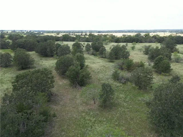 an aerial view of forest