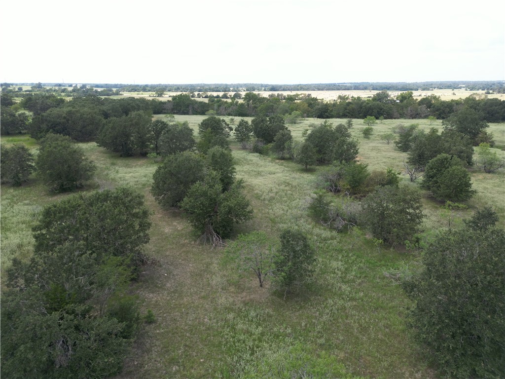 0 Fm 387 Marquez, TX 77865 - Photo 7 of 22 an aerial view of forest