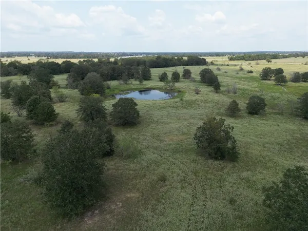 a view of a field with an ocean