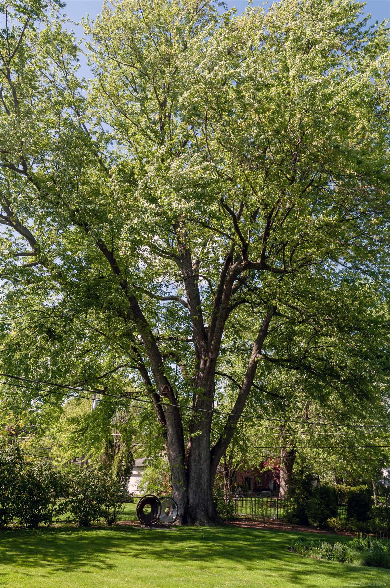 570 Oxford Road Grosse Pointe, MI 48236 - Photo 93 of 99 50141978-7e073468-b14b-423a-8c22-05a9c198a5e7.JPG