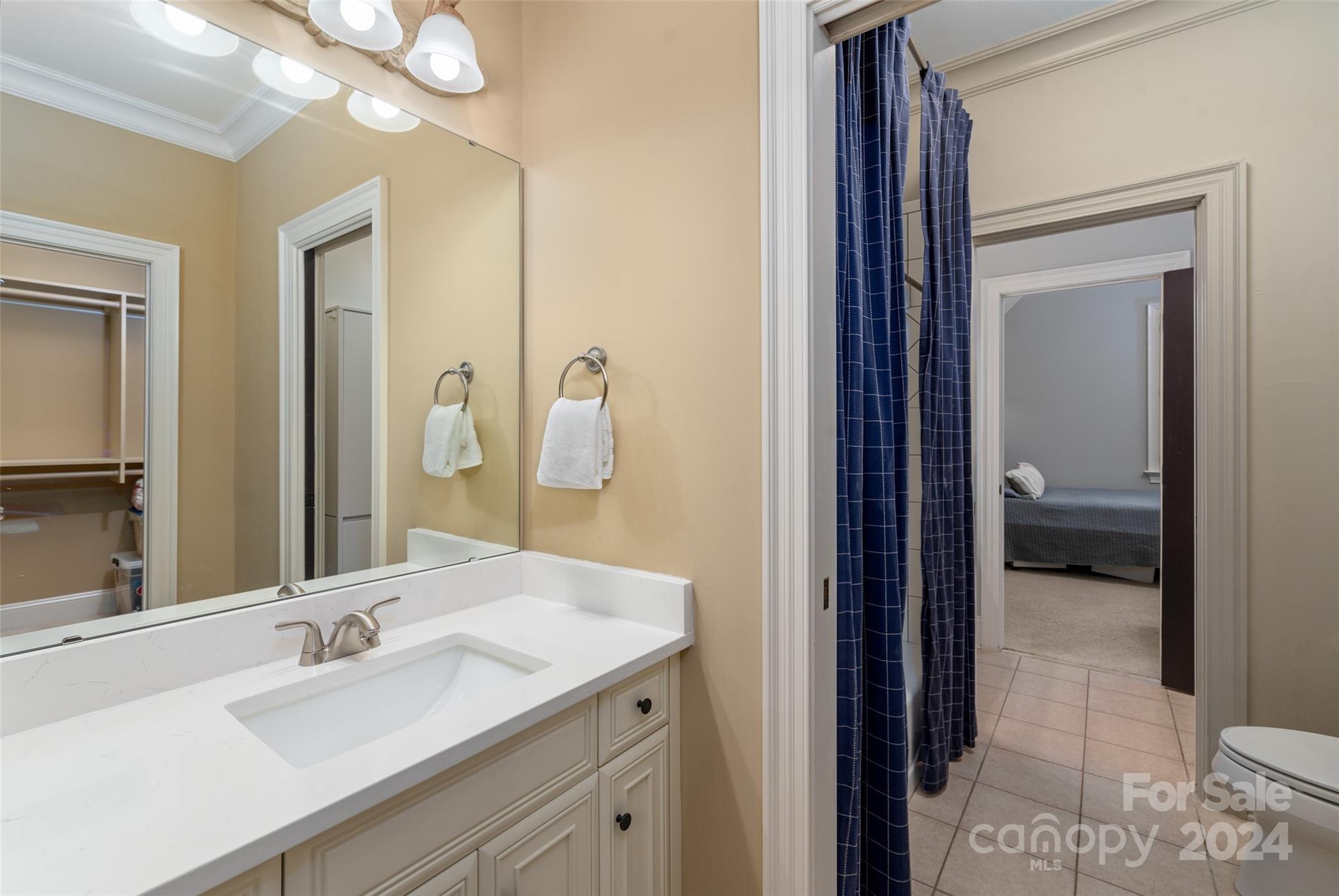 8432 Highgrove Street Charlotte, NC 28277 - Photo 38 of 46 a en suite bathroom with a sink and a mirror