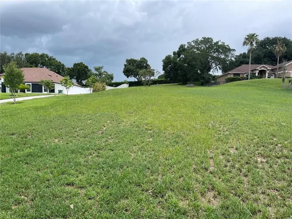 a view of a garden with houses